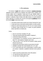 Referāts 'Jauna produkta izveide', 1.