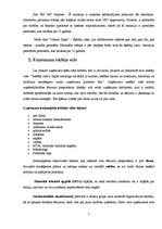 Referāts 'Jauna produkta izveide', 3.