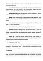 Referāts 'Jauna produkta izveide', 4.