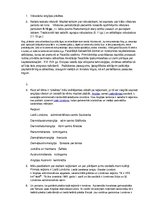 Prezentācija 'Anglijas viduslaiku pilsētas', 24.