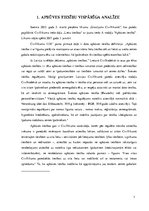 Referāts 'Apbūves tiesību tiesiskā regulējuma problēmjautājumi', 7.