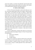 Referāts 'Apbūves tiesību tiesiskā regulējuma problēmjautājumi', 17.