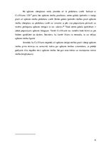 Referāts 'Apbūves tiesību tiesiskā regulējuma problēmjautājumi', 19.