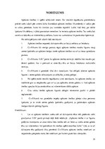 Referāts 'Apbūves tiesību tiesiskā regulējuma problēmjautājumi', 25.