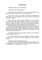 Referāts 'Laika un izmaksu problēmrisinājumi kuģu aģentēšanas procesā uzņēmumā LSEZ a/s "L', 2.