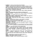 Konspekts 'Ievadierīces, izvadierīces', 1.