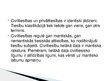 Prezentācija 'Civiltiesību jēdziens', 3.