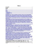 Referāts 'Globālās problēmas – valstis satuvinošas vai šķeļošas?', 2.