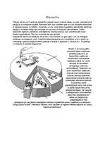 Referāts 'Zviedrija', 19.