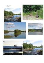 Referāts 'Zviedrija', 31.