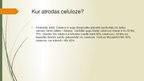 Prezentācija 'Polisaharīdi, ciete, celuloze', 15.