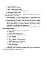 Referāts 'Cilvēktiesību aizsardzības institūcijas Latvijā', 8.