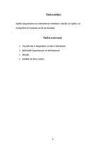 Referāts 'Barbarismi un žargonismi', 4.