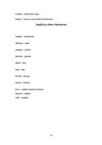 Referāts 'Barbarismi un žargonismi', 16.