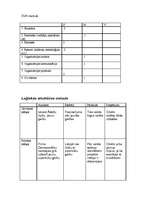 Konspekts 'Risku analīze', 3.