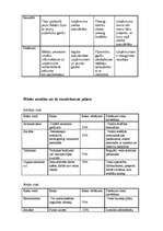 Konspekts 'Risku analīze', 4.