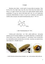 Referāts 'Marihuānas lietošanas psiholoģiskās un somatoveģetatīvās izpausmes', 3.