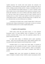 Prakses atskaite 'Biroja administrēšanas prakses atskaite', 8.