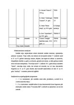 Konspekts 'Izklaides iespējas Tukumā 20.gadsimta 20. un 30. gados', 8.