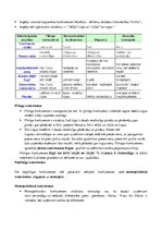 Konspekts 'Konspekts mikroekonomikā', 26.