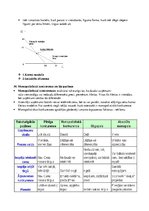 Konspekts 'Konspekts mikroekonomikā', 34.