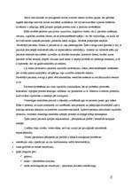 Konspekts 'Pacienta psihosociālo vajadzību aprūpe māsu praksē', 2.