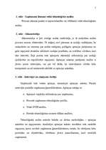 Referāts 'Inovāciju ekonomika', 5.