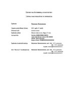 Paraugs 'Automašīnas patapinājuma līgums', 1.