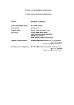 Paraugs 'Automašīnas patapinājuma līgums', 5.