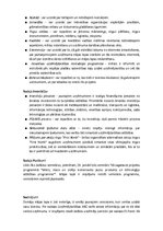 Konspekts 'Latvijas Investīciju un attīstības aģentūras mājaslapas apskats', 3.