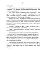 Referāts 'Darba devēja tiesības un pienākumi', 3.