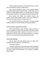 Referāts 'Darba devēja tiesības un pienākumi', 7.