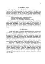 Referāts 'Uzņēmuma darbinieku motivācijas līmeņa paaugstināšanas projekts', 17.