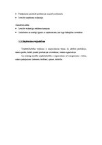 Biznesa plāns 'Biznesa plāns biškopības veikalam', 5.