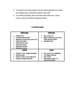 Biznesa plāns 'Biznesa plāns biškopības veikalam', 14.