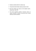 Biznesa plāns 'Biznesa plāns biškopības veikalam', 17.