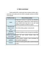 Biznesa plāns 'Biznesa plāns biškopības veikalam', 20.