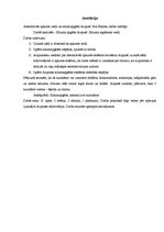 Referāts 'Alternatīvās apkures veidi un siltuma apgāde Aizputē', 2.