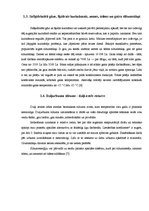 Referāts 'Alternatīvās apkures veidi un siltuma apgāde Aizputē', 8.