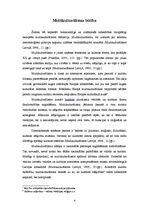 Referāts 'Multikulturālisms', 4.