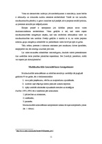 Referāts 'Multikulturālisms', 11.