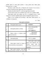 Diplomdarbs 'Pirmsskolas izglītības iestādes "Rūķītis" pārbūve', 15.