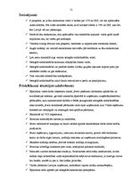 Referāts 'Nelegālā nodarbinātība', 21.