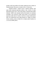 Eseja 'Apvienoto Nāciju Organizācijas misija Dienvidsudānas Republikā – izaicinājums mi', 5.