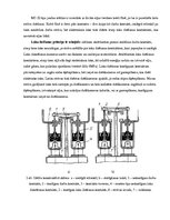 Paraugs 'Maztilpuma eļļas slēdži', 2.