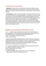 Konspekts 'Pilsētu uzplaukums 11.-13.gadsimtā', 2.