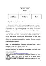 Eseja 'Russian Military Reforms', 13.
