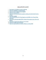 Referāts 'Baltvīna šķirne "Riesling" un vīns "Blue nun Riesling"', 12.