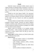 Referāts 'Noziedzīgi nodarījumi pret satiksmes drošību', 3.