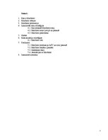 Referāts 'Marlboro brenda analīze', 2.